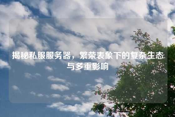 揭秘私服服务器，繁荣表象下的复杂生态与多重影响