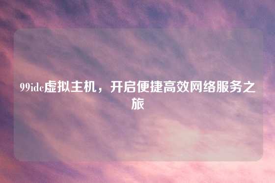 99idc虚拟主机，开启便捷高效网络服务之旅
