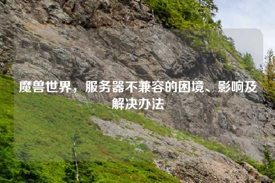 魔兽世界，服务器不兼容的困境、影响及解决办法