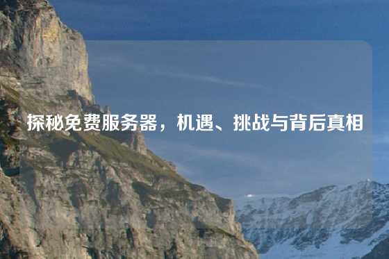 探秘免费服务器，机遇、挑战与背后真相