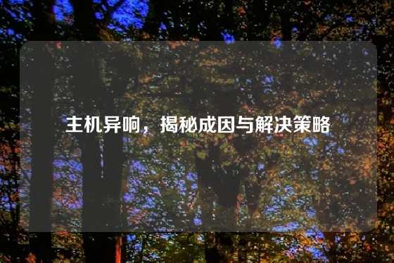 主机异响，揭秘成因与解决策略