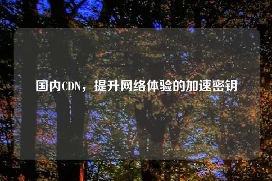 国内CDN，提升网络体验的加速密钥