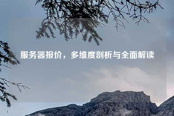 服务器报价，多维度剖析与全面解读