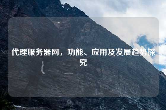 代理服务器网，功能、应用及发展趋势探究