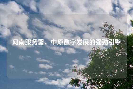 河南服务器，中原数字发展的强劲引擎