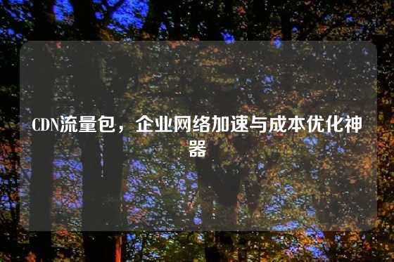 CDN流量包，企业网络加速与成本优化神器