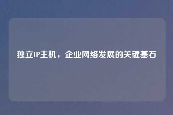 独立IP主机，企业网络发展的关键基石