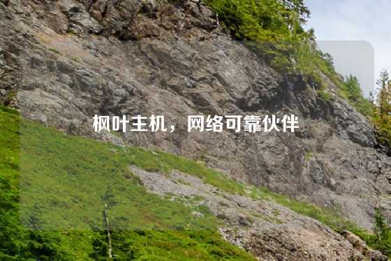 枫叶主机，网络可靠伙伴
