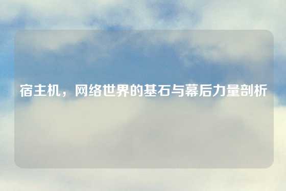 宿主机，网络世界的基石与幕后力量剖析