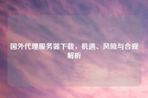 国外代理服务器下载，机遇、风险与合规解析