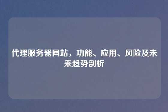 代理服务器网站，功能、应用、风险及未来趋势剖析