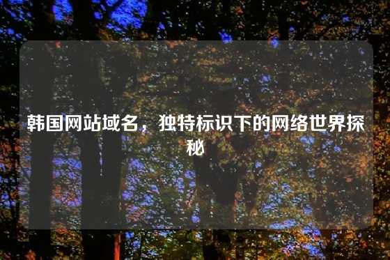 韩国网站域名，独特标识下的网络世界探秘