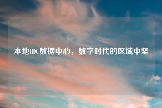 本地IDC数据中心，数字时代的区域中坚