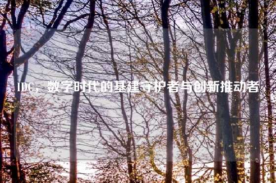 IDC，数字时代的基建守护者与创新推动者