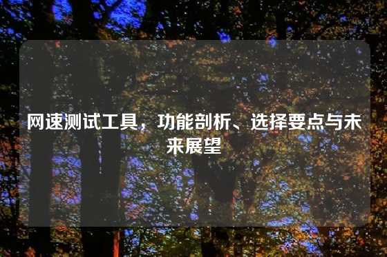 网速测试工具，功能剖析、选择要点与未来展望