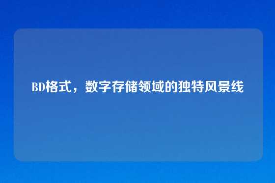 BD格式，数字存储领域的独特风景线
