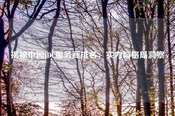 揭秘中国IDC服务商排名，实力与格局洞察