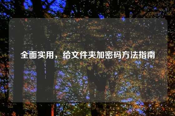 全面实用，给文件夹加密码方法指南