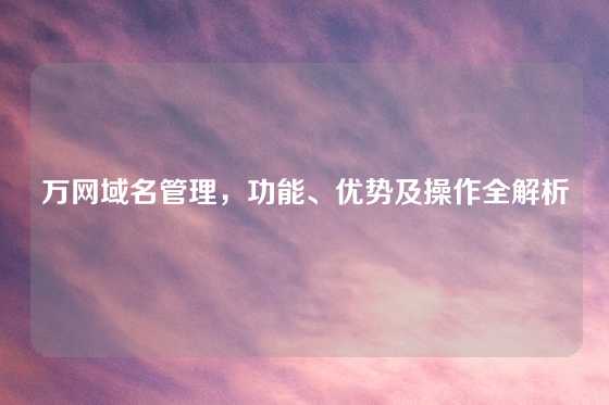 万网域名管理，功能、优势及操作全解析
