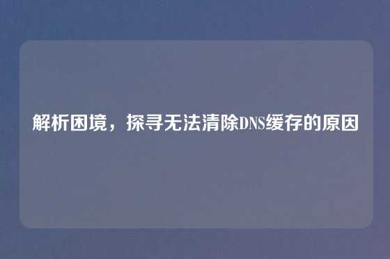 解析困境，探寻无法清除DNS缓存的原因