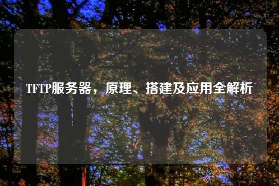 TFTP服务器，原理、搭建及应用全解析