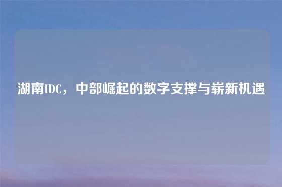 湖南IDC，中部崛起的数字支撑与崭新机遇