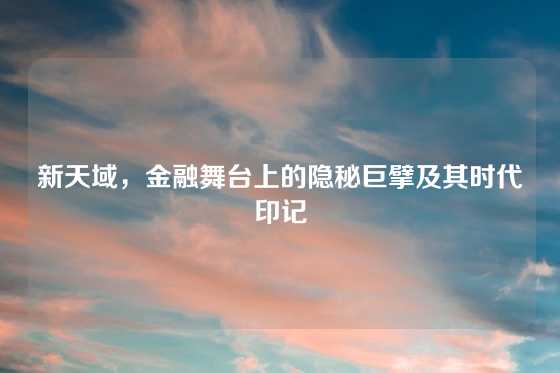 新天域，金融舞台上的隐秘巨擘及其时代印记