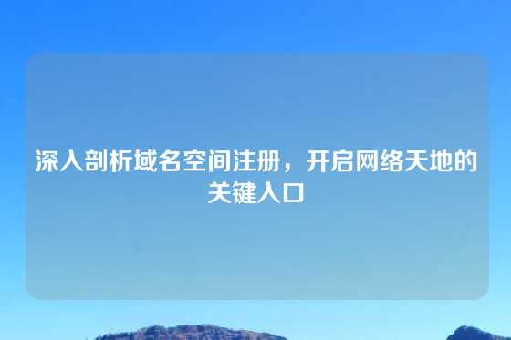 深入剖析域名空间注册，开启网络天地的关键入口