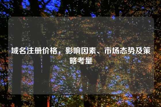 域名注册价格，影响因素、市场态势及策略考量