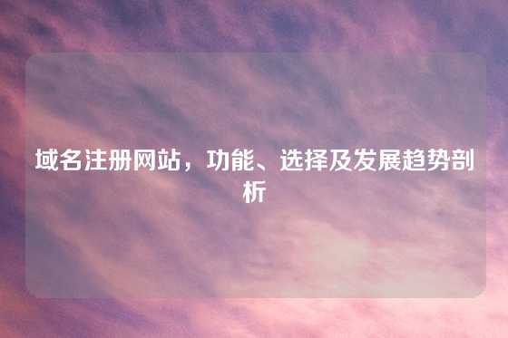 域名注册网站，功能、选择及发展趋势剖析