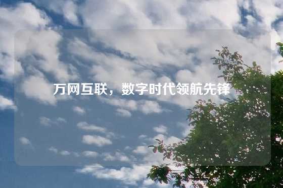 万网互联，数字时代领航先锋