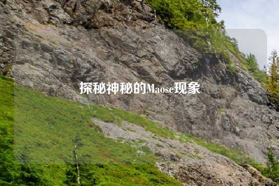 探秘神秘的Maose现象