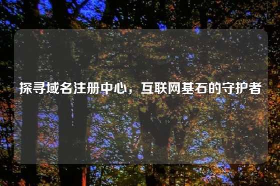 探寻域名注册中心，互联网基石的守护者