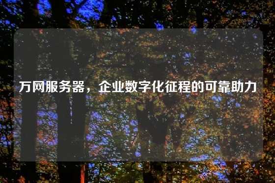 万网服务器，企业数字化征程的可靠助力