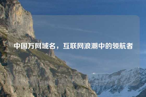 中国万网域名，互联网浪潮中的领航者