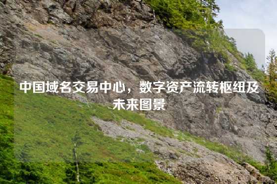 中国域名交易中心，数字资产流转枢纽及未来图景