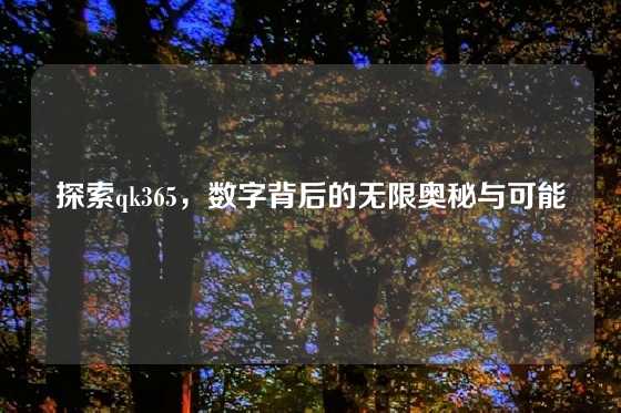 探索qk365，数字背后的无限奥秘与可能