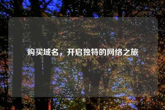 购买域名，开启独特的网络之旅