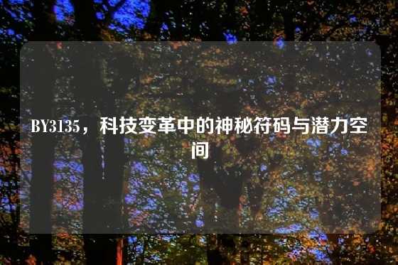 BY3135，科技变革中的神秘符码与潜力空间