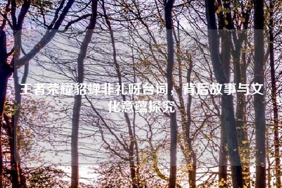 王者荣耀貂蝉非礼呀台词，背后故事与文化意蕴探究