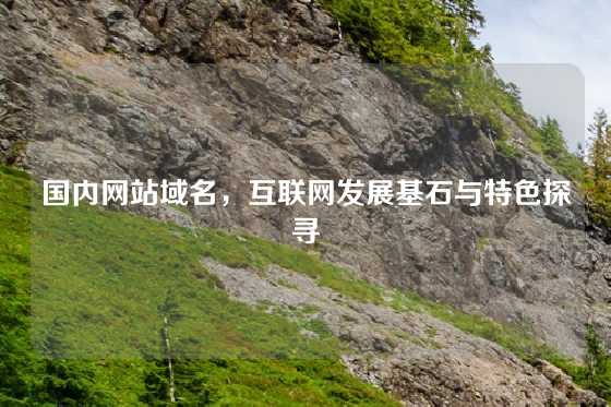 国内网站域名，互联网发展基石与特色探寻