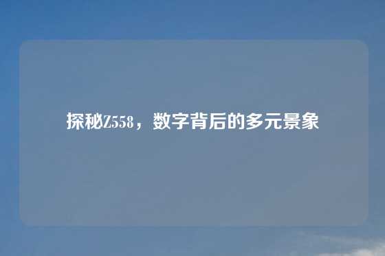探秘Z558，数字背后的多元景象