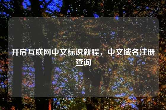开启互联网中文标识新程，中文域名注册查询