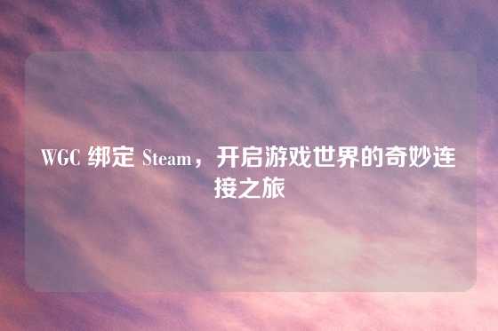 WGC 绑定 Steam，开启游戏世界的奇妙连接之旅