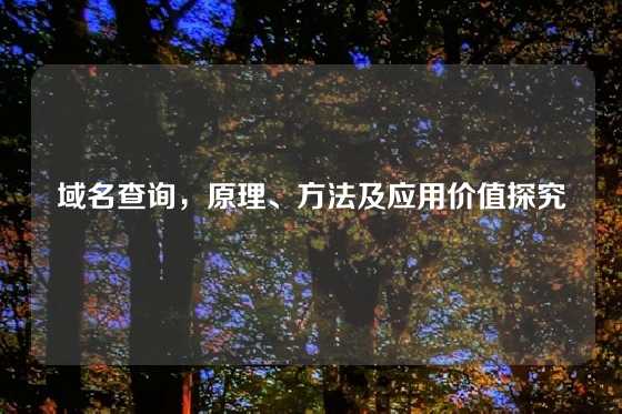 域名查询，原理、方法及应用价值探究