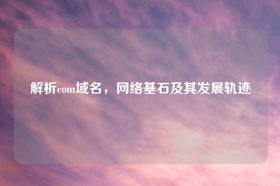 解析com域名，网络基石及其发展轨迹