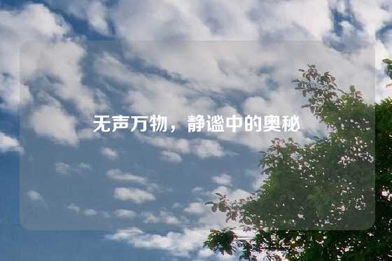 无声万物，静谧中的奥秘