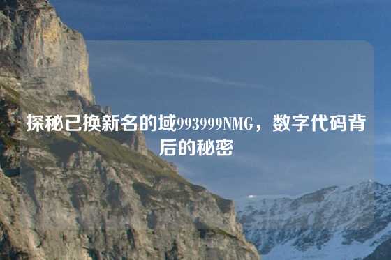 探秘已换新名的域993999NMG，数字代码背后的秘密