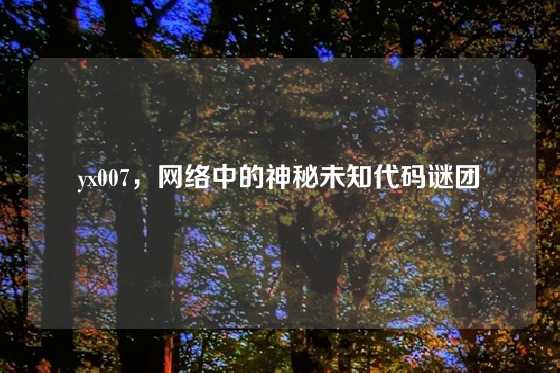yx007，网络中的神秘未知代码谜团