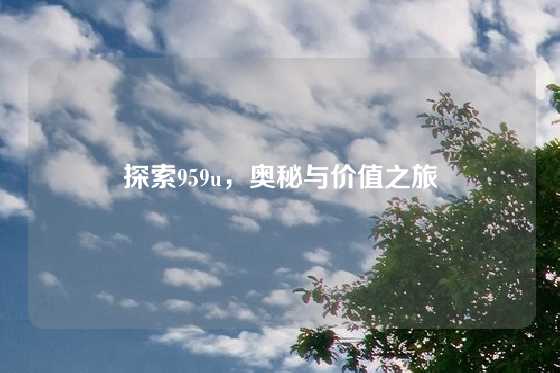 探索959u，奥秘与价值之旅